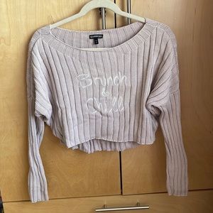 Express small cropped sweater